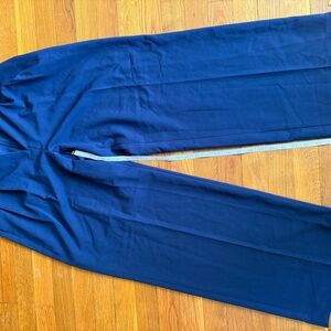 Ann Taylor Deep Blue Trousers